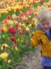 Picking garden mix