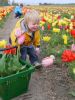 Pflückgarten mischung